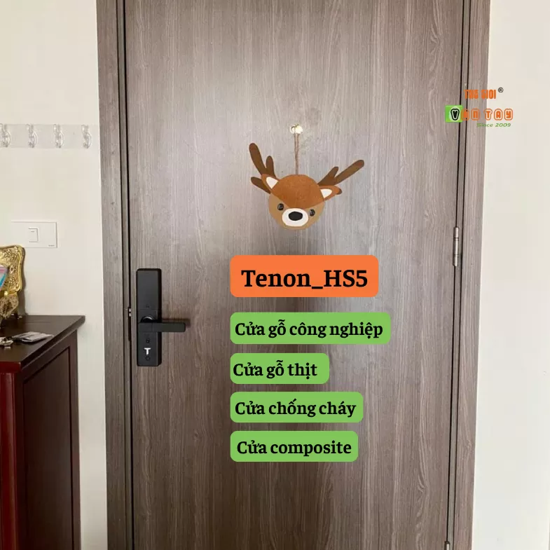 Khóa vân tay Tenon HS5 - Khóa thông minh TTLOCK