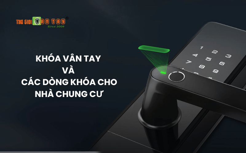 Khóa vân tay và các dòng khóa cho nhà chung cư