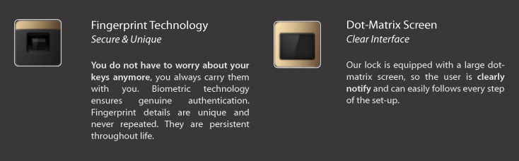 Khóa vân tay Dessmann S510 II (4in1)