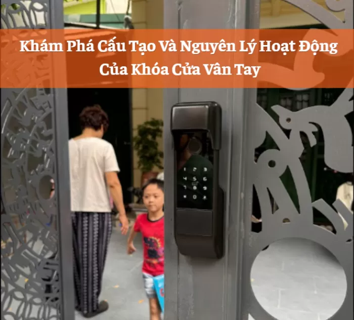 Khám phá cấu tạo và nguyên lý hoạt động của khóa cửa vân tay
