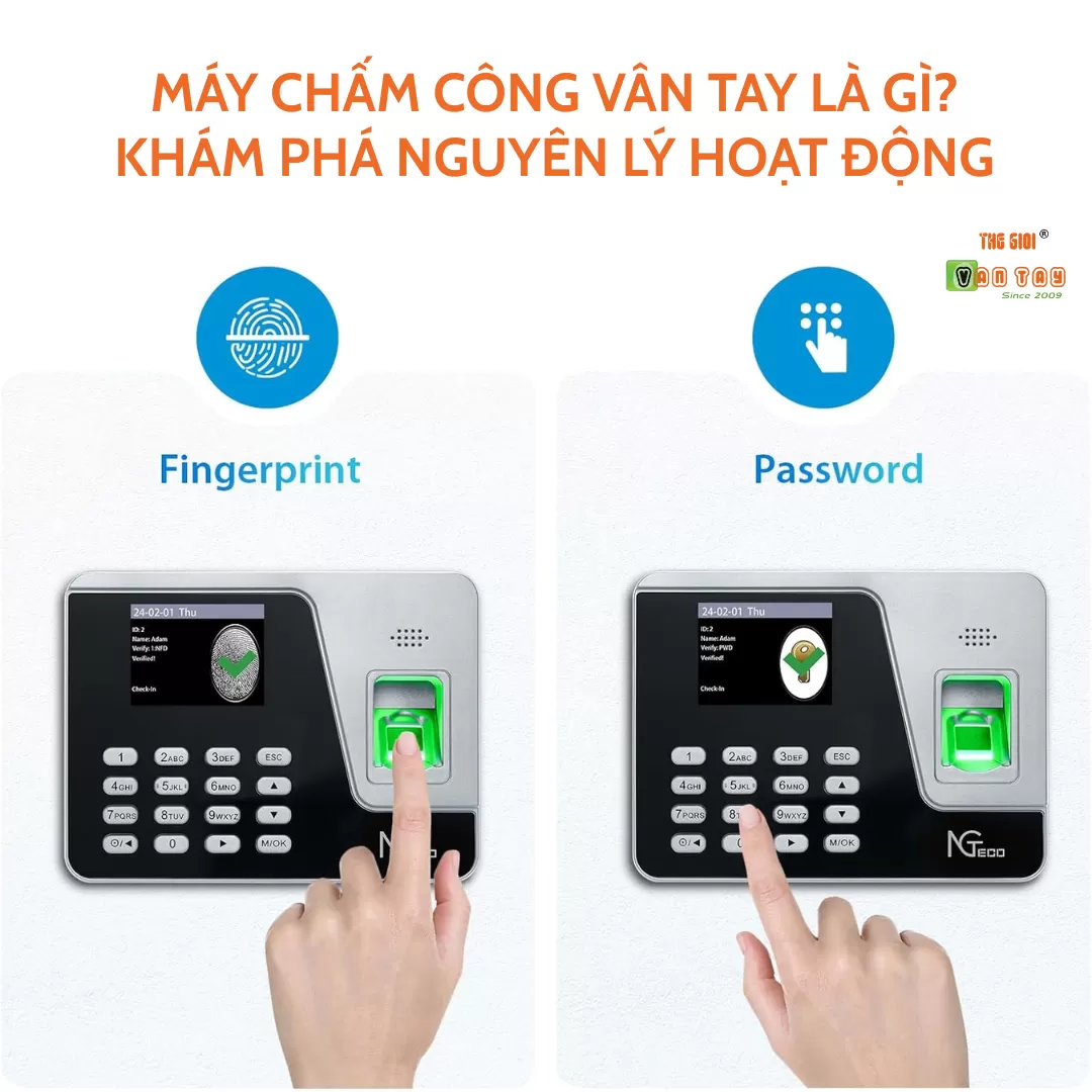 MÁY CHẤM CÔNG VÂN TAY LÀ GÌ? NGUYÊN LÝ HOẠT ĐỘNG VÀ ỨNG DỤNG